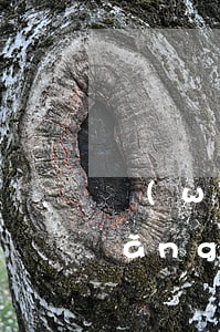 網(wǎng)貸逾期多久可以再借，網(wǎng)貸逾期多久才能再次借款？你需要知道的事項(xiàng)